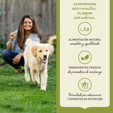 null - Product image 4.0